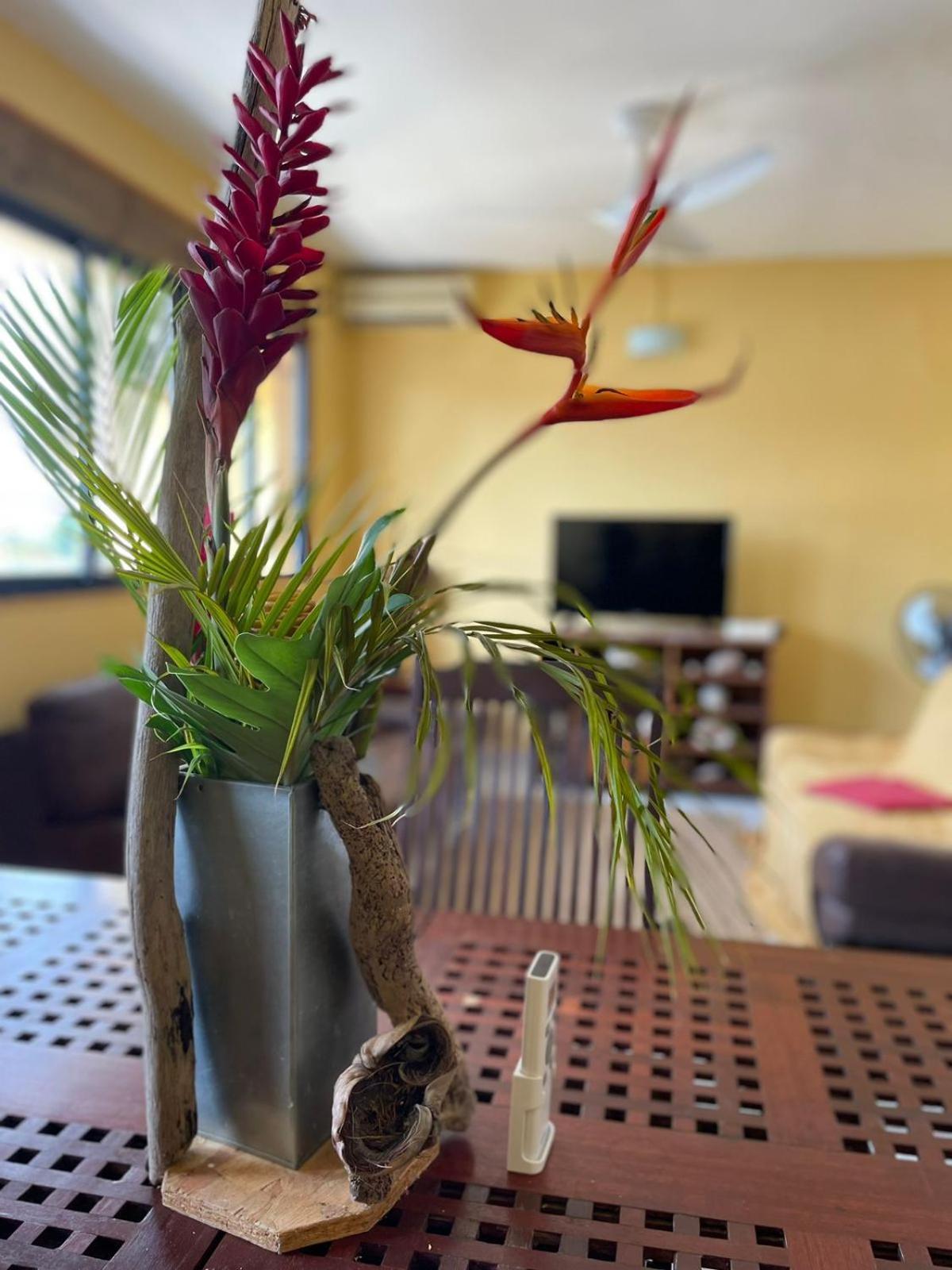 Appartement Tout Confort Sainte-Anne  Ngoại thất bức ảnh